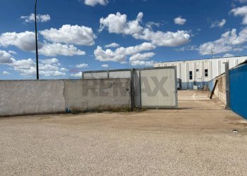 Terrazza - Capannone Strada Provinciale 86, San Pietro Vernotico - foto 2