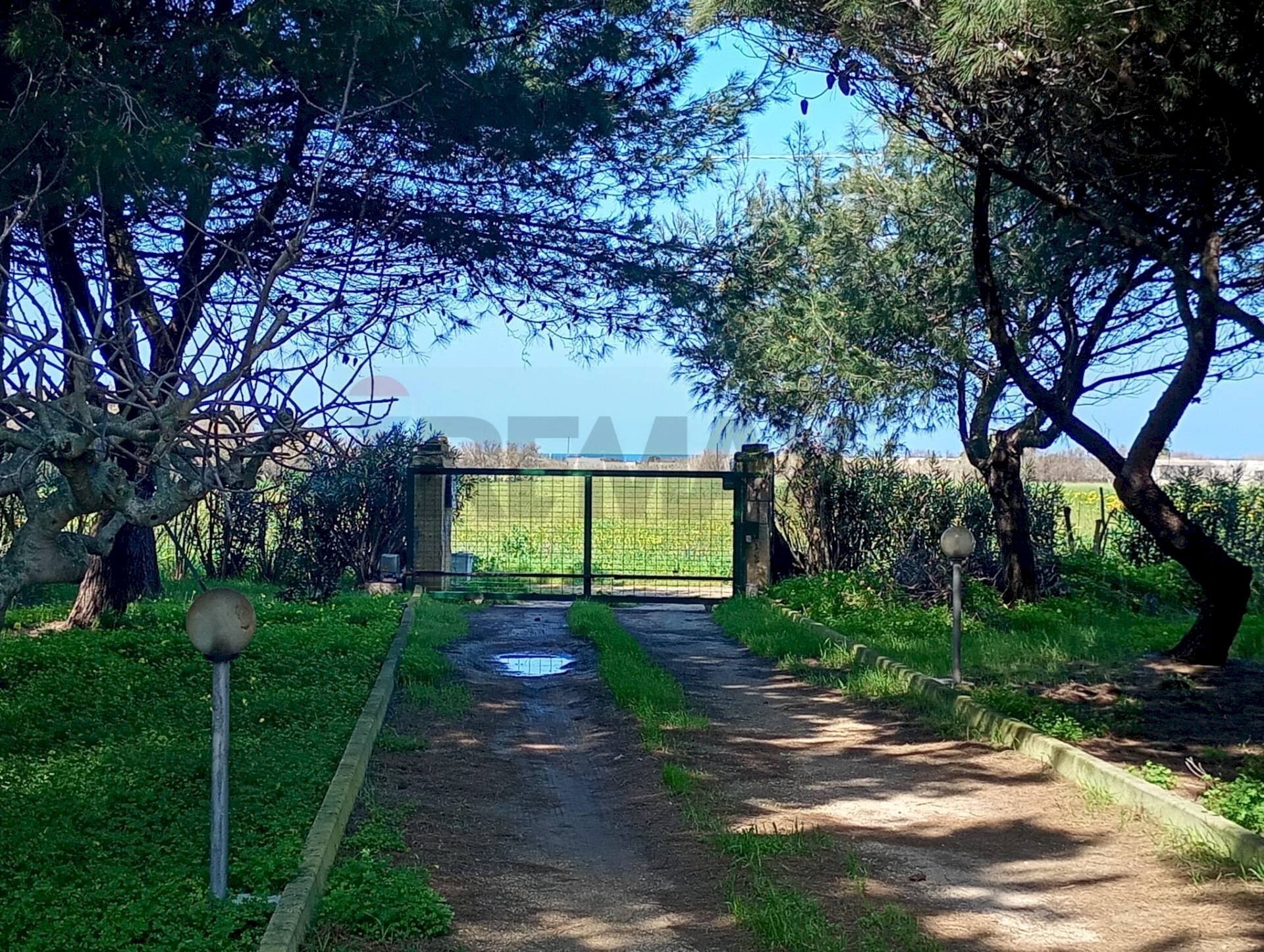 Giardino - Villa Brindisi - foto 3