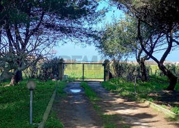 Giardino - Villa Brindisi - foto 3