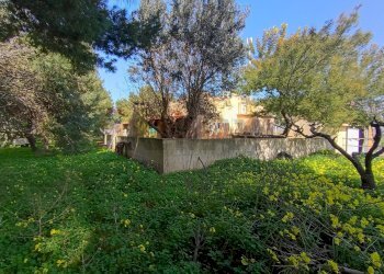 Giardino - Villa Brindisi - foto 5