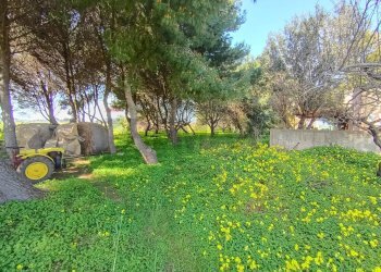 Giardino - Villa Brindisi - foto 17