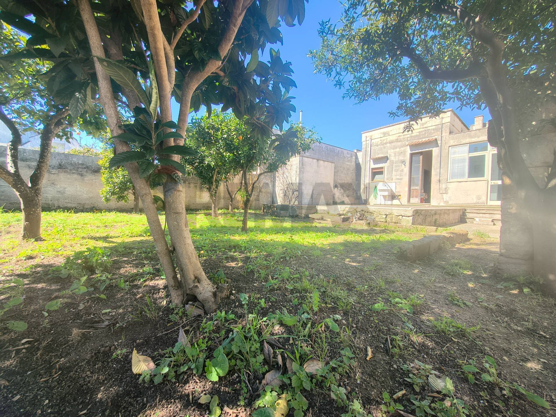 Giardino - Casa indipendente Via Gabrieli 40, Melendugno - foto 1