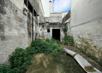 Giardino - Casa indipendente Via Giuseppe Grassi
 
3/5, San Donaci - foto 6