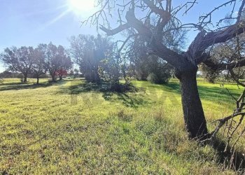 Giardino - Villa Contrada Cafaro, Brindisi - foto 6