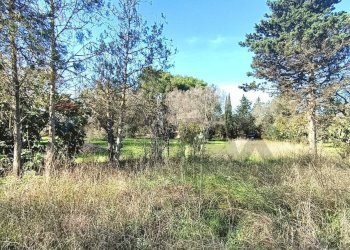 Giardino - Villa Contrada Cafaro, Brindisi - foto 11