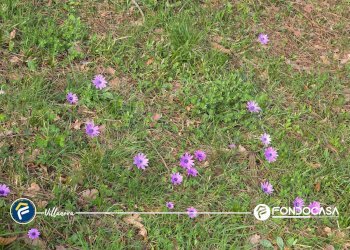 Foto 18 - Terreno edificabile Garlenda - foto 18