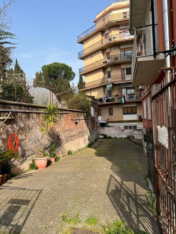 Giardino - Warehouse via Galeazzo Alessi, 169, Roma - photo 2