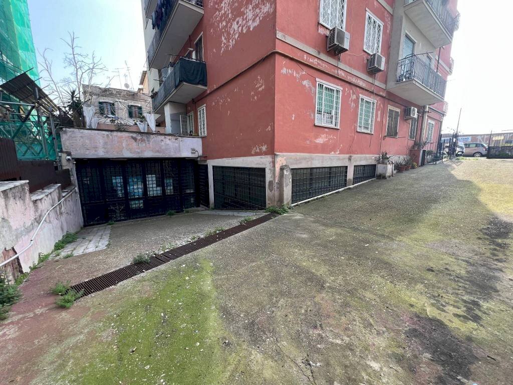 Giardino - Warehouse via Galeazzo Alessi, 169, Roma - photo 3