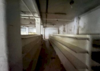 Magazzino - Warehouse via Galeazzo Alessi, 169, Roma - photo 17