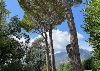 Foto 12 - Attic Via Monte Sabotino, Lecco - photo 12