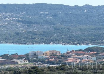 Foto 54 - Casa indipendente Loc. La Trinita
 
SNC, La Maddalena - foto 54