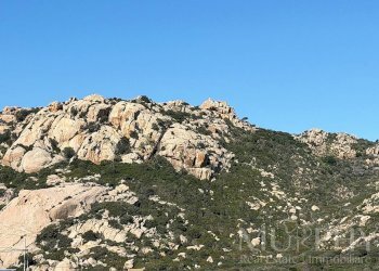 Foto 57 - Casa indipendente Loc. La Trinita
 
SNC, La Maddalena - foto 57