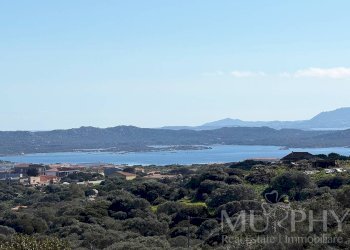 Foto 61 - Casa indipendente Loc. La Trinita
 
SNC, La Maddalena - foto 61