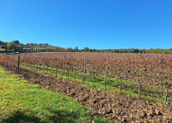 Foto 29 - Rustic Strada vicinale delle buche
 
25, Sarteano - photo 29