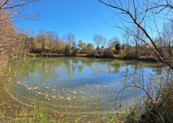 Foto 30 - Rustic Strada vicinale delle buche
 
25, Sarteano - photo 30