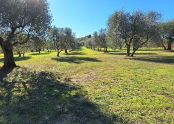 Foto 31 - Rustic Strada vicinale delle buche
 
25, Sarteano - photo 31