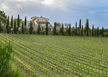 Foto 33 - Rustic Strada vicinale delle buche
 
25, Sarteano - photo 33