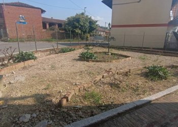 Terreno - Rustico via Piave, Montiglio Monferrato - foto 8