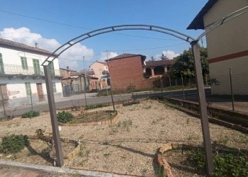 Terreno - Rustico via Piave, Montiglio Monferrato - foto 9