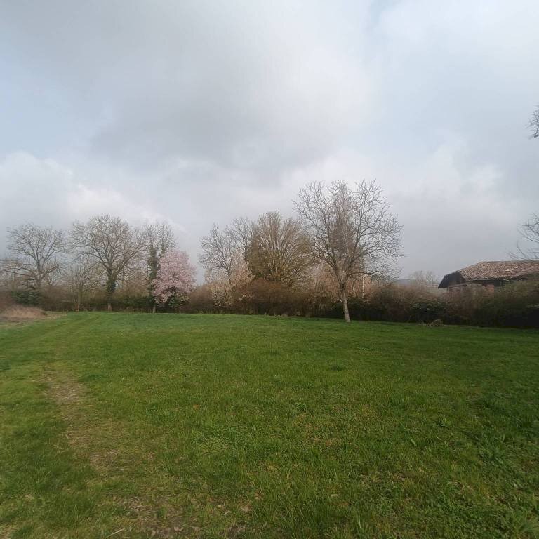 Terreno - Terreno agricolo strada Frinco, Moncalvo - foto 1