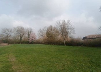 Terreno - Terreno agricolo strada Frinco, Moncalvo - foto 1