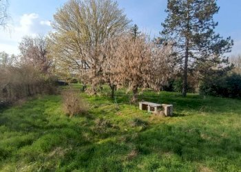 Terreno - Rustic strada Vairo Menga, Moncalvo - photo 4