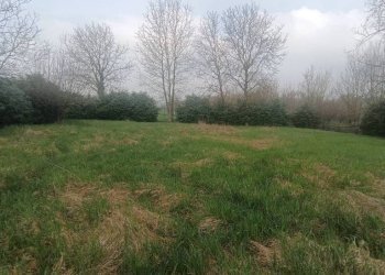 Terreno - Rustic strada Vairo Menga, Moncalvo - photo 9