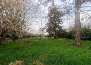 Terreno - Rustic strada Vairo Menga, Moncalvo - photo 11