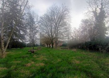 Terreno - Rustic strada Vairo Menga, Moncalvo - photo 12