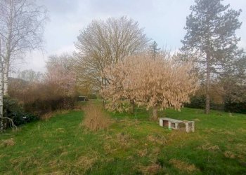 Terreno - Rustic strada Vairo Menga, Moncalvo - photo 15