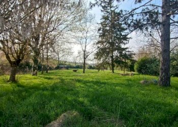 Terreno - Rustic strada Vairo Menga, Moncalvo - photo 20