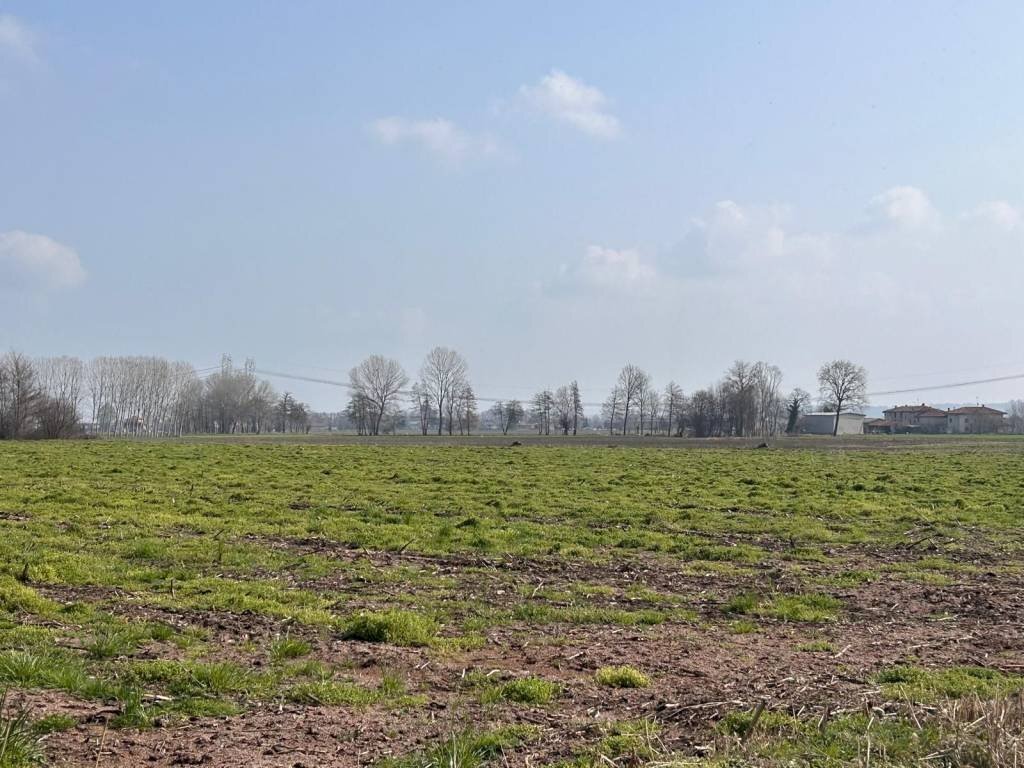 Terreno - Agricultural land via Praforchetto, Margarita - photo 2