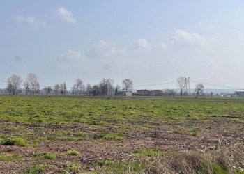 Terreno - Agricultural land via Praforchetto, Margarita - photo 1