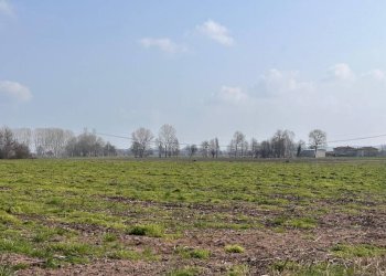 Terreno - Agricultural land via Praforchetto, Margarita - photo 2