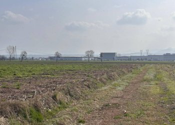 Terreno - Agricultural land via Praforchetto, Margarita - photo 3