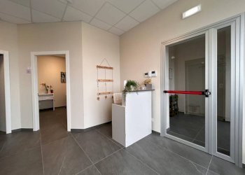 Ingresso - Ufficio via Circonvallazione, 23, Castelletto Stura - foto 3