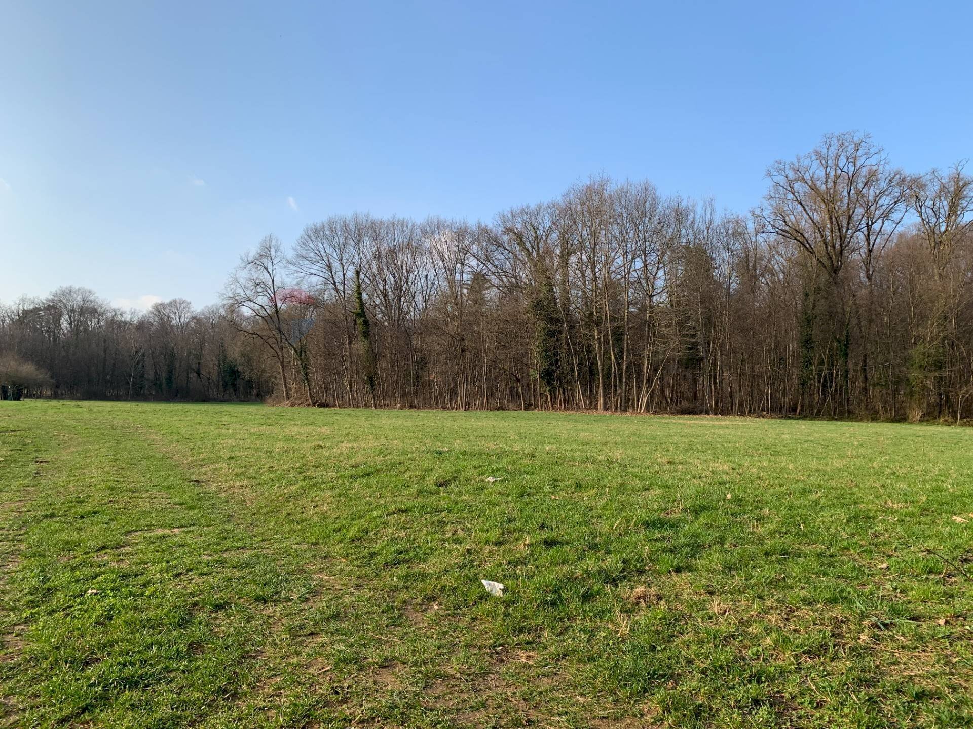 Giardino - Terreno agricolo via Marmolada, Gallarate - foto 1