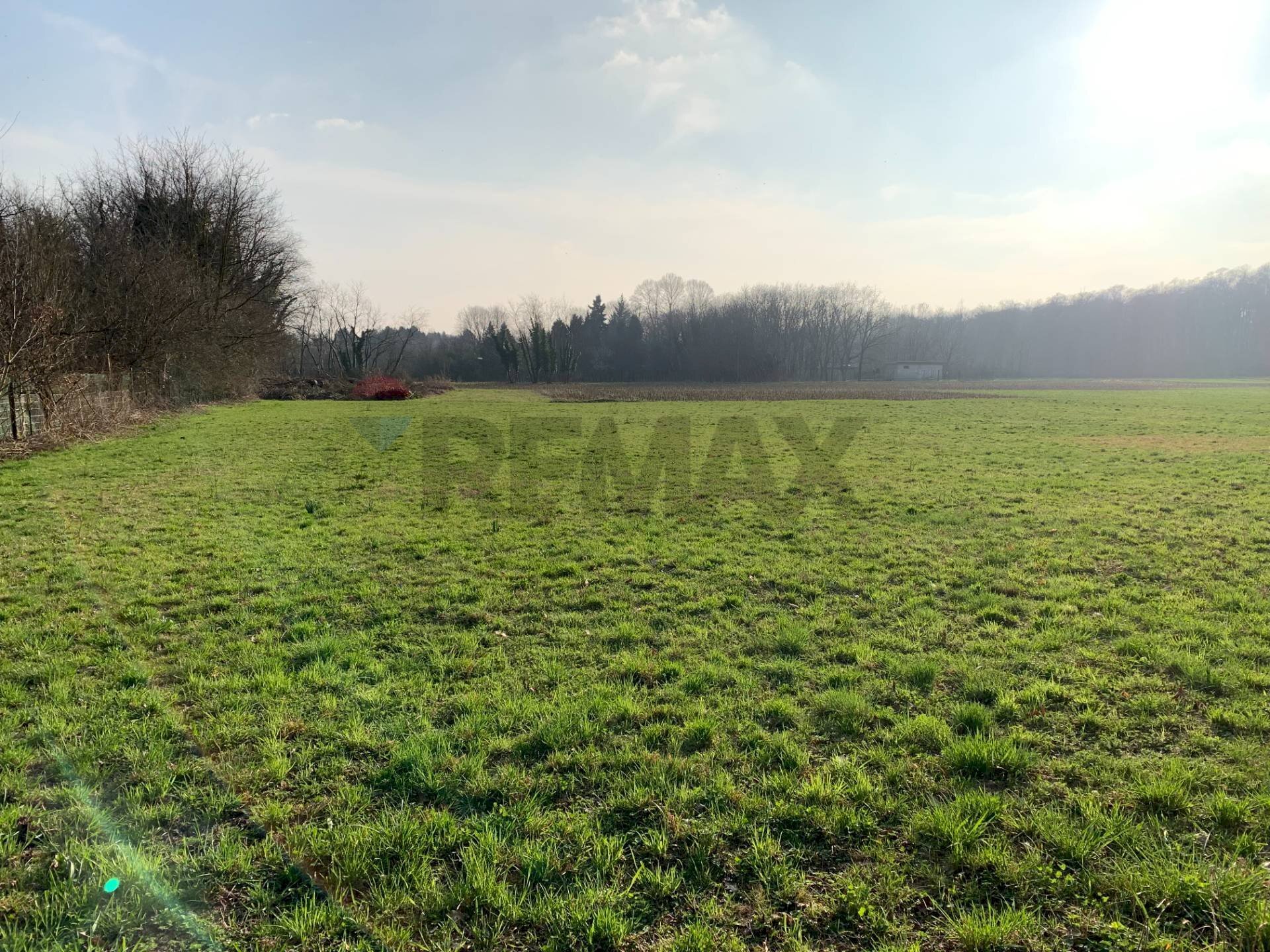 Giardino - Terreno agricolo via Marmolada, Gallarate - foto 2