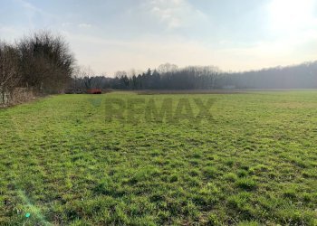 Giardino - Terreno agricolo via Marmolada, Gallarate - foto 2