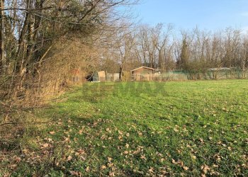 Giardino - Terreno agricolo via Marmolada, Gallarate - foto 3