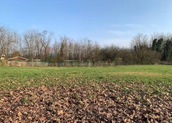 Giardino - Terreno agricolo via Marmolada, Gallarate - foto 5