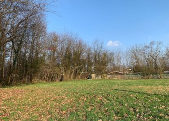 Giardino - Terreno agricolo via Marmolada, Gallarate - foto 6