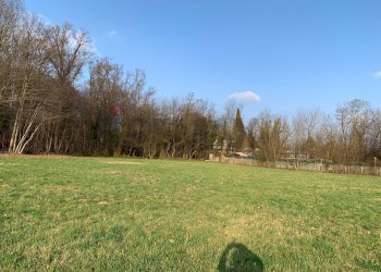 Giardino - Terreno agricolo via Marmolada, Gallarate - foto 7