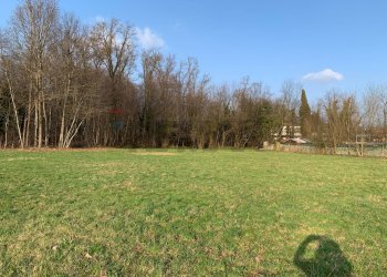 Giardino - Terreno agricolo via Marmolada, Gallarate - foto 8