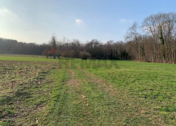 Giardino - Terreno agricolo via Marmolada, Gallarate - foto 9