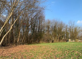 Giardino - Terreno agricolo via Marmolada, Gallarate - foto 10