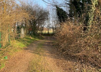 Giardino - Terreno agricolo via Marmolada, Gallarate - foto 11