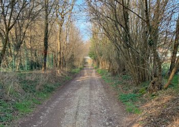 Giardino - Terreno agricolo via Marmolada, Gallarate - foto 12
