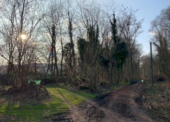 Giardino - Terreno agricolo via Marmolada, Gallarate - foto 14