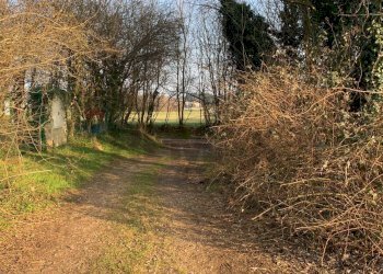 Giardino - Terreno agricolo via Marmolada, Gallarate - foto 15